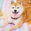 杂货店主头像