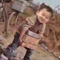 酸梅汤头像