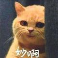 命运赞歌头像
