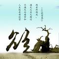 ChaunceyZhao382头像