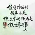 金应鹏头像