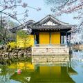 张新华180头像