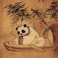 X～先生头像