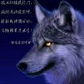 👽💀孤$狼👽头像