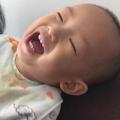 MrPig26头像