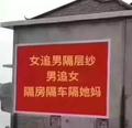 路强17头像