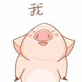 🐷头像