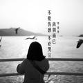 以你为眸 · 马自达3车主·车龄11年头像