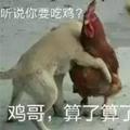 至诚金融服务头像