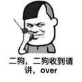 一个喜欢二哈的男人头像