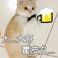 老实人需要接盘吗头像