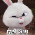窗台下的懒觉 · 星途揽月车主·车龄3年头像