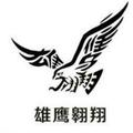 雄鹰翱翔4424头像