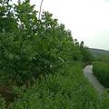 山路406头像