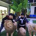 刘婧慧127头像