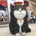 敬媛123头像
