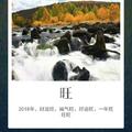 TL274244116头像