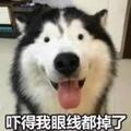 小武8889头像