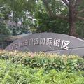 啦啦踢头像