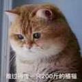 用户6080552205948头像