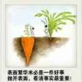 一起走过8595头像