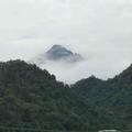 Zhangsh2018头像