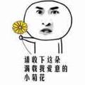 那边天那边地那个人头像
