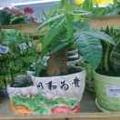 用户4151629788186头像
