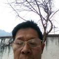 手机用户53629553923头像