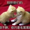 -zy967头像