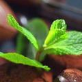 毛豆粑粑888 · 君越车主·车龄4年头像