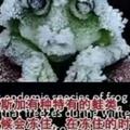 七言岛头像