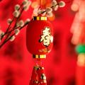 爱在飞扬5201314头像