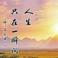 壮壮7615头像