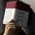 陌13305571头像