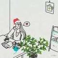 我是大橙子693头像