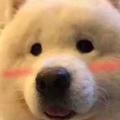 用户5244072531271头像