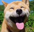 AA跑偏的人头像
