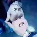 唯一22360头像