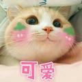 自己开心就好494头像