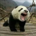 Smile141226872头像