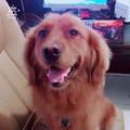 锦绣暖人心头像