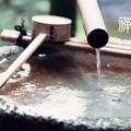 清尘1230头像