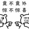 智勇双全百灵鸟iq头像