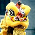 杨恒131头像