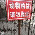 别跟生活开玩笑头像