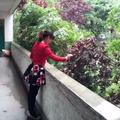 依恋60345头像