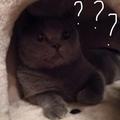 高手7933头像