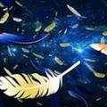 红酒5633头像