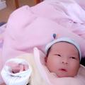 川E段2008头像